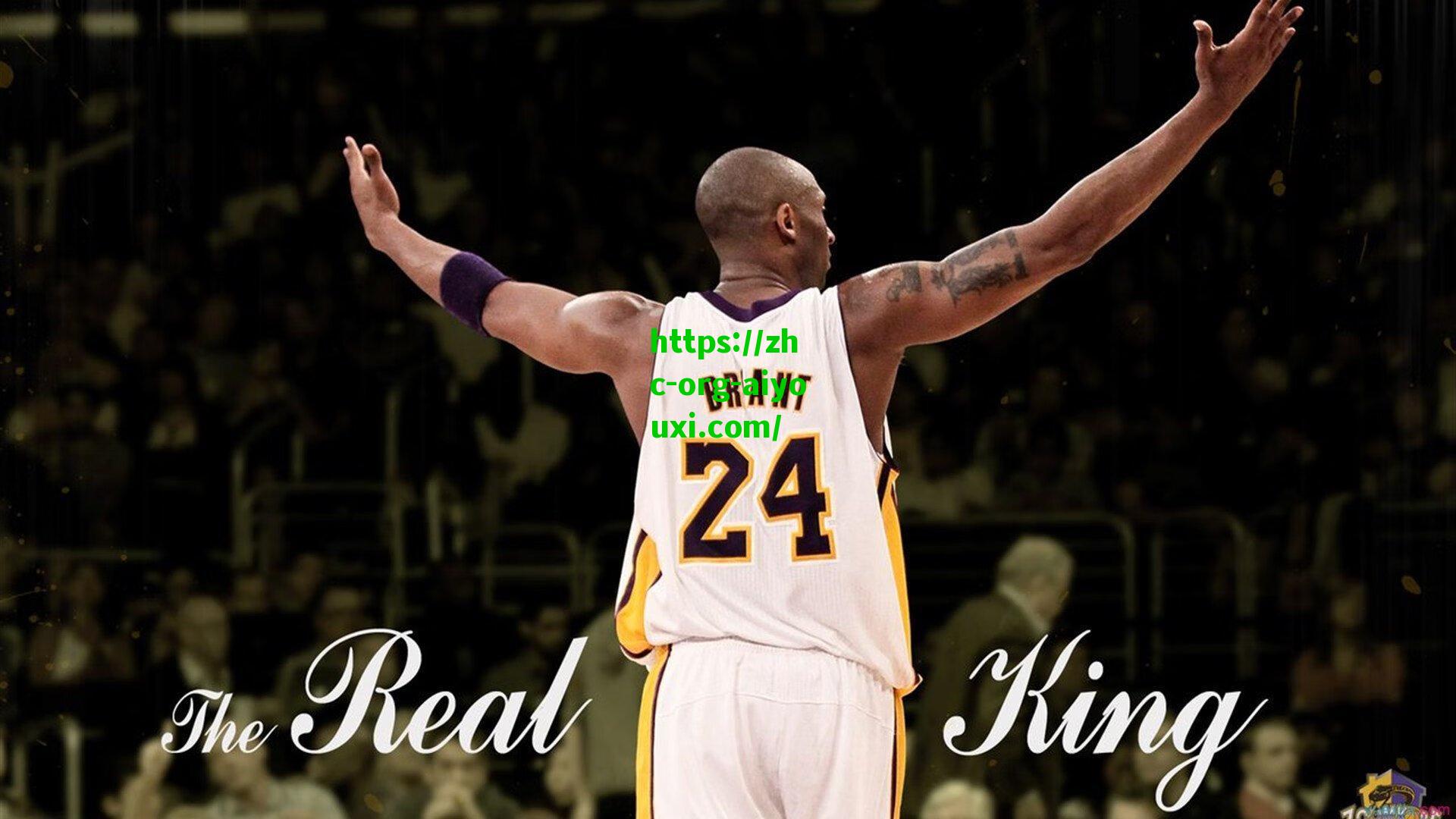 博伊尔斯与猛龙正式签约 电子合同革新传统引热议